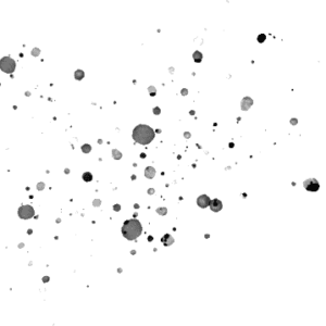 Carte Cadeau